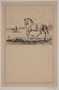 Kůň ve vodě. Ne. 22 v Chr. Winther a M. Rørbye, "25 obrázků pro malé děti" od Johan Adolph Kittendorff