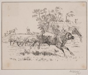 Jelen od Johan Adolph Kittendorff