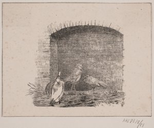 Kuřata a kachny od Johan Adolph Kittendorff
