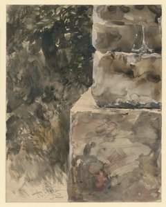Listoví stromu u kamenného soklu od Adolph Menzel