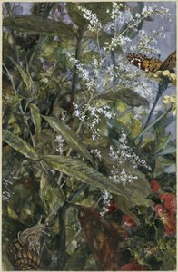  od Adolph Menzel