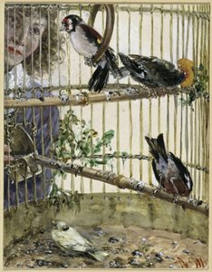 Stehlíci a kanárek v knize „Bauer“. Z „Dětského alba“ od Adolph Menzel