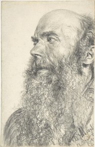 Hlava vousatého muže od Adolph Menzel