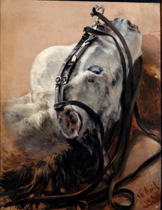 Studie koně. Hlava ležící, v postroji od Adolph Menzel