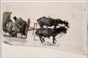 Saně se dvěma koňmi a kočím, pohled shora od Adolph Menzel