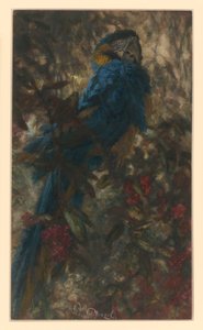  od Adolph Menzel
