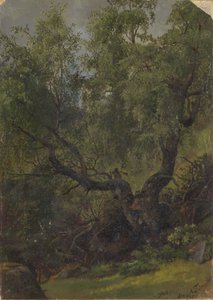  od Adolph Tidemand