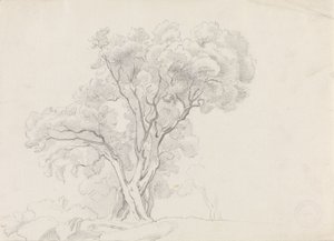 Listnaté stromy od Adolph Tidemand