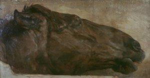 Studie koní. Hlava v bočním pohledu vpravo od Adolph Menzel