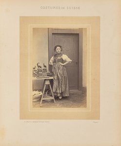 Kanton Thurgau od Adolphe Braun