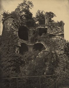 [Hrad Heidelberg] od Adolphe Braun