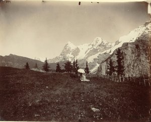 Krajina, Švýcarsko, c. 1860. od Adolphe Braun