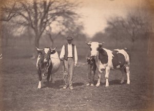 Krajina,c. 1864 (foto) od Adolphe Braun