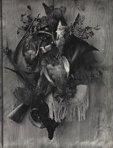 Trophy of the Hunt od Adolphe Braun