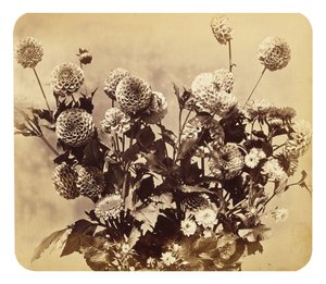 Bez názvu, c. 1860 (tisk alba)
