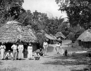 Domorodé chatrče, Jamajka, c1905.