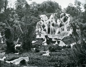 Roaring River Falls, Jamajka, c1905. od Adolphe Duperly and Son