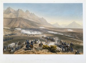 Bitva o Buena Vista