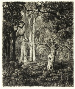 Old Oaks v Bas Bréau