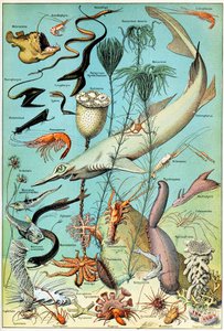 Ilustrace podmořské scény z hlubokého moře c.1923