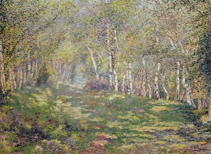 Stříbrné břízy (olej na plátně) od Adriaan Josef Heymans