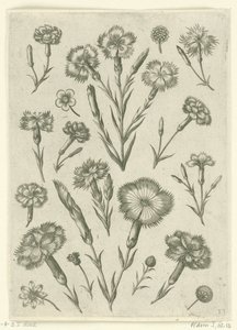 Různé hněvy Florilegium (název série) od Adriaen Collaert