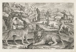 Lvi a Leopard Čtyřnohá zvířata (název série) Animalivm Qvaddrvpedvm (název série) od Adriaen Collaert