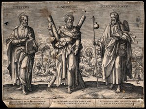  od Adriaen Collaert