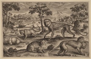  od Adriaen Collaert