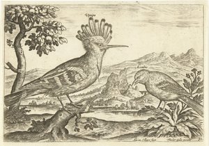 Dva ptáci v krajině Ptáci (název seriálu) Avium Vivae (název série) od Adriaen Collaert