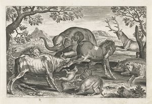 bojová zvířata Čtyřnohá zvířata (název série) Animalivm Qvaddrvpedvm (název série) od Adriaen Collaert
