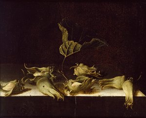 Zátiší s lískovými oříšky, 1696 od Adrian Coorte