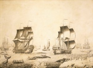 Velrybáři v ledu od Adriaen or Abraham Salm