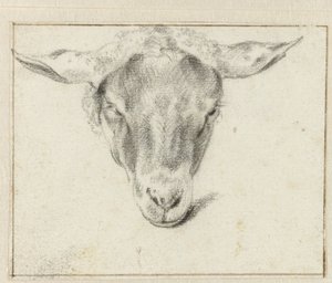Ovčí hlava, zepředu od Adriaen van de Velde (attributed to)