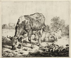 Kráva a tři ovce od Adriaen van de Velde