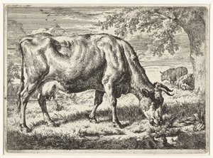 Pasoucí se kráva a dvě ovce Krávy a ovce (název série) od Adriaen van de Velde