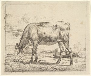 Pasoucí se tele, z různých zvířat, 1658. od Adriaen van de Velde