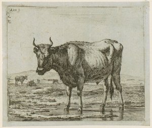  od Adriaen van de Velde