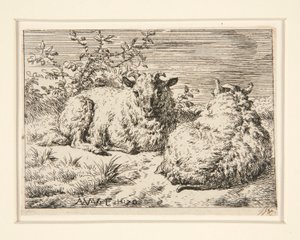 Dvě ovce od Adriaen van de Velde