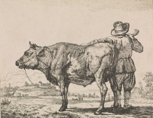 Muž stojící s býkem od Adriaen van de Velde