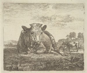Ležící kráva, z různých zvířat, 1657. od Adriaen van de Velde