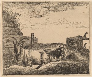 Ležící kozy od Adriaen van de Velde
