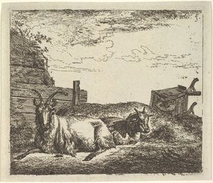 Ležící kozy z různých zvířat. od Adriaen van de Velde