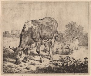 Strakatý býk a tři ovce od Adriaen van de Velde