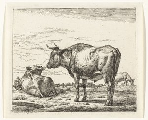 stojící býk Různá zvířata (název série) od Adriaen van de Velde