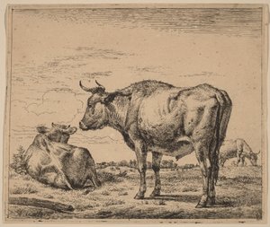 Stojící býk od Adriaen van de Velde