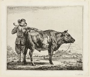 Pastevec krav a býk od Adriaen van de Velde