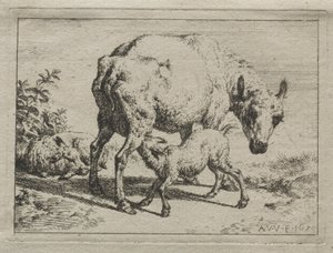 Ovce a dva jehňata, 1670. od Adriaen van de Velde