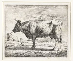 Dvě krávy a ovce Různá zvířata (název série) od Adriaen van de Velde