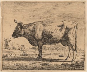 Dvě krávy a ovce od Adriaen van de Velde